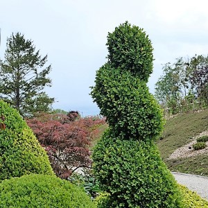 Lire la suite à propos de l’article journée « Parcs et Jardins Particuliers » 2025