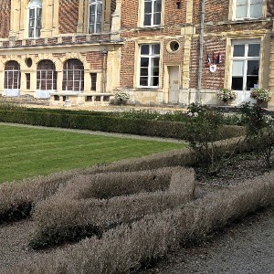 2 000 buis à remplacer dans le jardin du château d’Eu